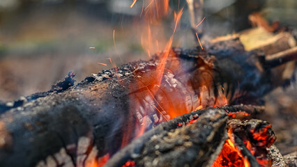 wooden log charred in the flames of fire