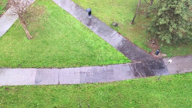 Person with umbrella walking on sidewalk path on rainy day, bird&acute;s eye view from above, green grass and trees in a park, autumn season in Slovakia, Bratislava