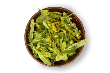 Linden flowers in bowl isolated on white background.