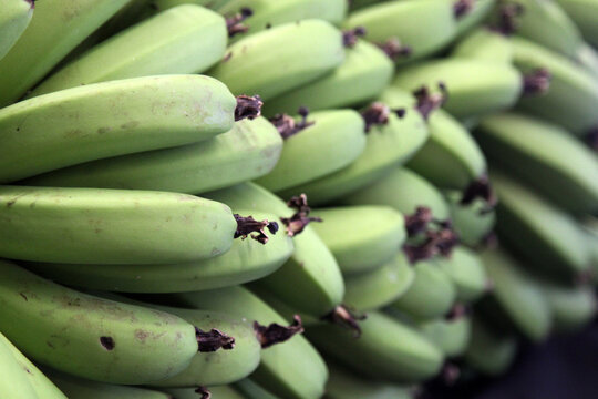 Bunch Of Plantains On A Table