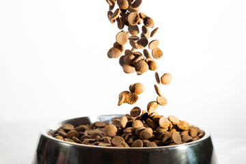 Dry dog food in an iron bowl.Constant food for the dog. Isolate.