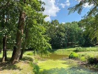 Park of the Pejacevic castle in Nasice or park next to the Pejacevic family castle - Slavonia, Croatia (Park dvorca Pejačević u Našicama ili Perivoj uz dvorac obitelji Pejačević, Našice - Slavonija)