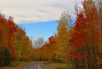 North america fall landscape Montreal Quebec province Canada