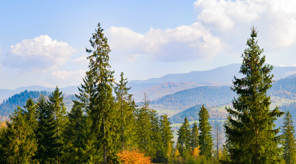 Scenic mountain landscape with autumn forests, mountain peaks on the horizon and blue sky. Carpathians Ukraine. Wide photo.