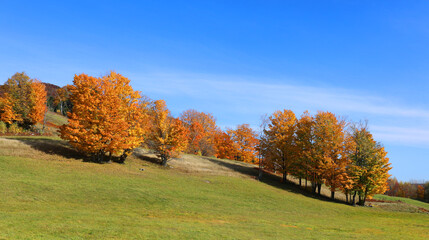 North america fall landscape eastern townships Bromont Quebec province Canada