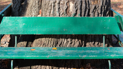 old wooden board bench painted green in the park