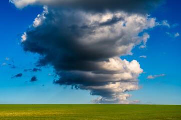 Above the wide green field that reaches to the horizon, a high storm cloud is piling up.