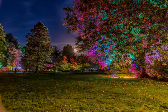 illuminated autumn park Bad Bevensen Germany