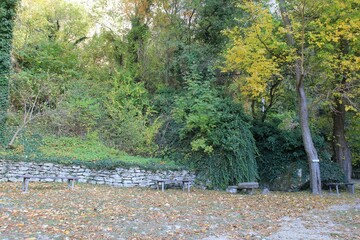 Trees and paths in the Madara Park (Bulgaria) in autumn during leaf fall
