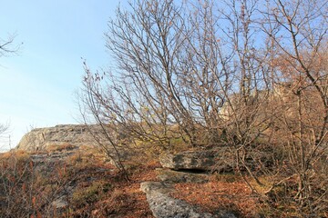 Trees on the rocks and rocks of the Madara area (Bulgaria) in autumn
