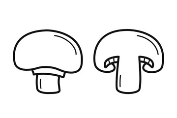 Сhampignon. Hand drawn sketch icon of whole and half mushroom. Isolated vector illustration in doodle line style.