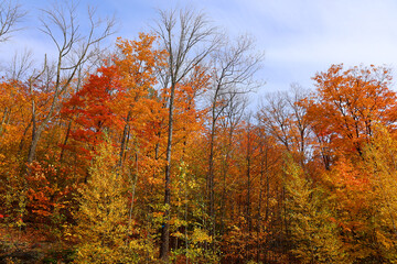 Fototapeta premium Fall landscape eastern townships Quebec province Canada