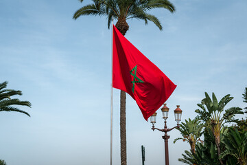 Moroccan flag fluttering with palm trees and blue sky in the background