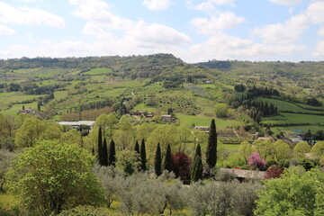 Landscape around Orvieto, Italy Umbria