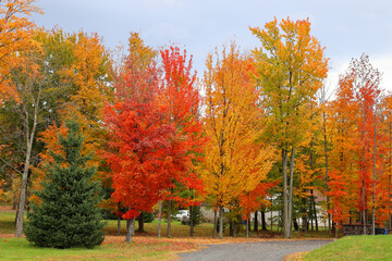 Fall landscape eastern townships Quebec province Canada - obrazy, fototapety, plakaty