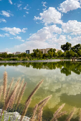 Artificial lake in the middle of an urban park
