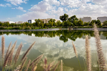 Artificial lake in the middle of an urban park
