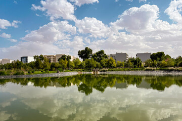 Artificial lake in the middle of an urban park