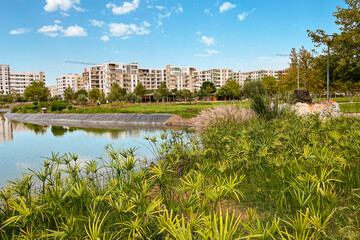 Artificial lake in the middle of an urban park