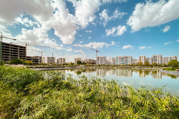 Artificial lake in the middle of an urban park