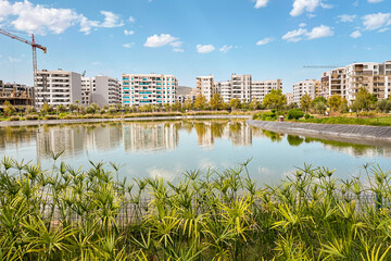 Artificial lake in the middle of an urban park