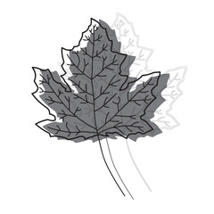 Autumn leaf. Stylized illustration of a plant.