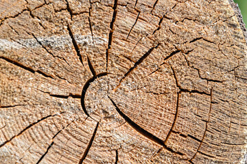 wood cut texture