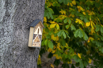 Ecology bees house created to save the world
