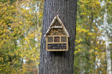 Ecology insect house created to save the world