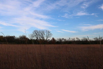 a field in autumn with clouds in the sky
