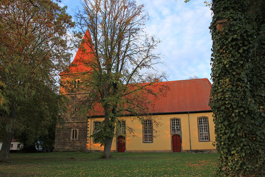 tausendj&auml;hrige Tilly-Linde in Gro&szlig;goltern an der Kirche