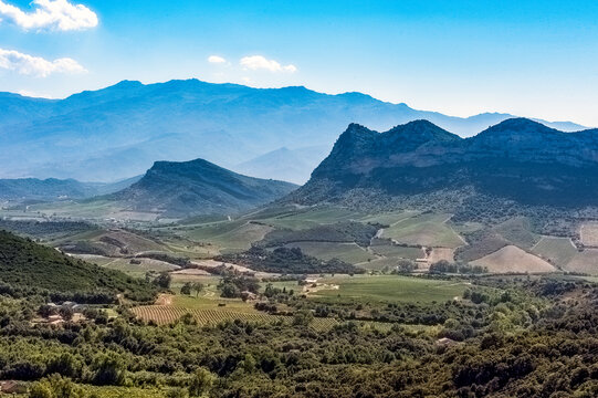 France. Corsica. Patrimonio. Patrimonio vineyards and mountains.