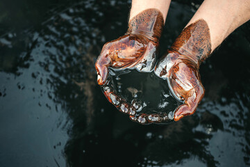 Caucasian oil hands are folded in a bowl of oil. Oil spill. Environmental pollution. an...