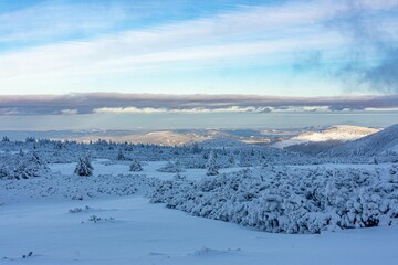 Fototapeta na wymiar Jelenia Góra Valley - winter landscape with snow covered trees in Karkonosze Mountain Rangee