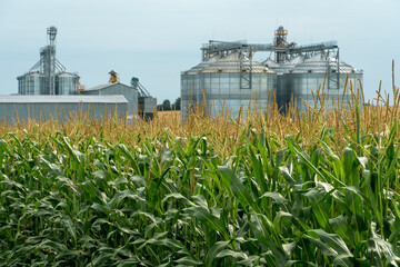 silver silos on agro manufacturing plant for processing drying cleaning and storage of agricultural products, flour, cereals and grain. Large iron barrels of grain. Granary elevator © Pokoman