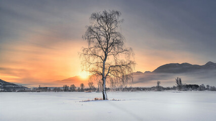 sunrise in winter