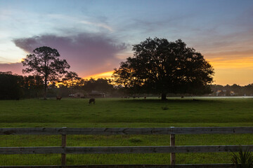 Sunrise over cattle ranch