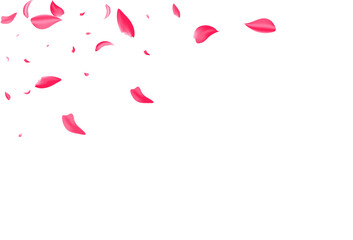 Red Blossom Fall Vector White Background. Summer