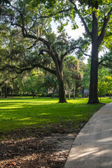 Fototapeta na wymiar Trees in Forsyth Park, Savannah, Georgia
