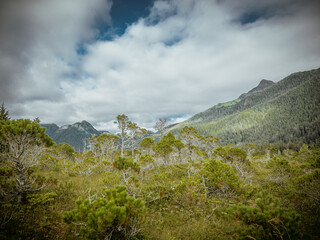 Cross trail with Bear Mountain in background in Sitka, Alaska 