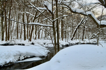 A river at dusk flowing through a snowy forest
