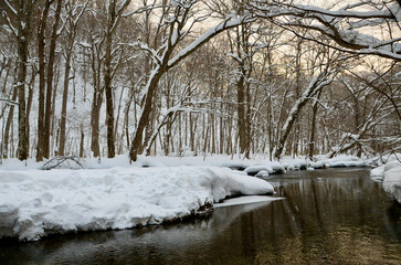 Orange-tinted river and thicket in winter
