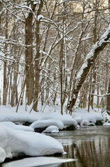 The scenery that caught my eye when I was climbing a mountain in winter

