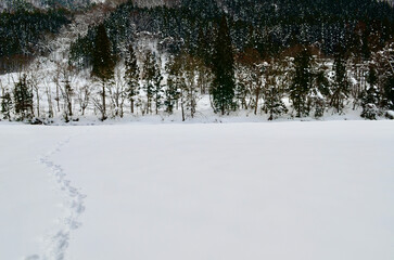 Footprints of a person alone in a snow-covered mountain