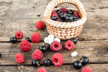 Ripe, juicy red raspberries and black currants are beautifully scattered on wooden boards. Clay basket and delicious berries.