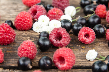 Ripe, juicy red raspberries and black currants are beautifully scattered on wooden boards.