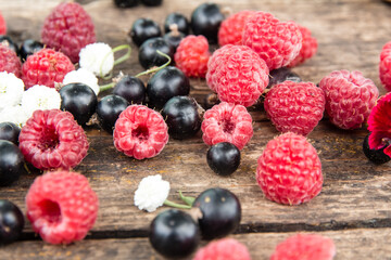 Ripe, juicy red raspberries and black currants are beautifully scattered on wooden boards.
