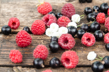 Ripe, juicy red raspberries and black currants are beautifully scattered on wooden boards.