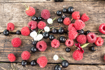 Ripe, juicy red raspberries and black currants are beautifully scattered on wooden boards.
