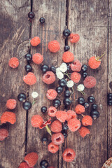 Ripe, juicy red raspberries and black currants are beautifully scattered on wooden boards.